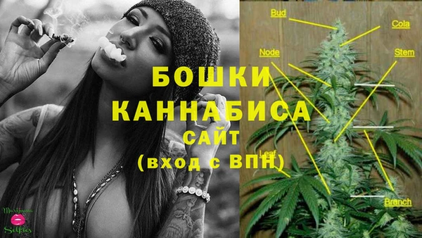 ALPHA PVP Краснослободск