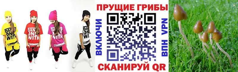 Купить закладки  Арамиль  Псилоцибиновые грибы прущие грибы 